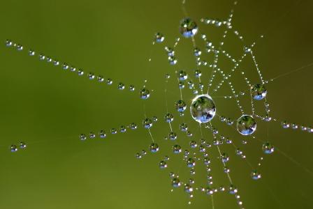 You need a great and intelligent web, in order to catch domains...