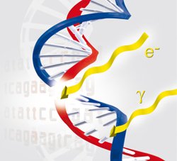 BildB029_DNA_Steri_layout.jpg