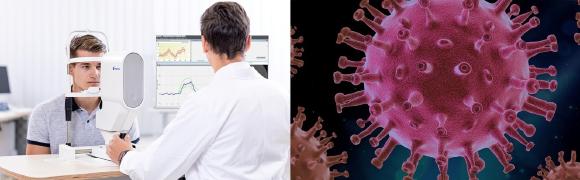 Assessment of the endothelial function using dynamic vessel analysis