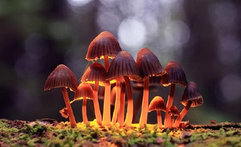 Quelle: Depositphotos