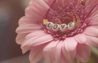 Valentinstag: Sag' es mit love-Domains...