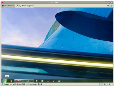 Screenshot AnyDesk Linux_02.png