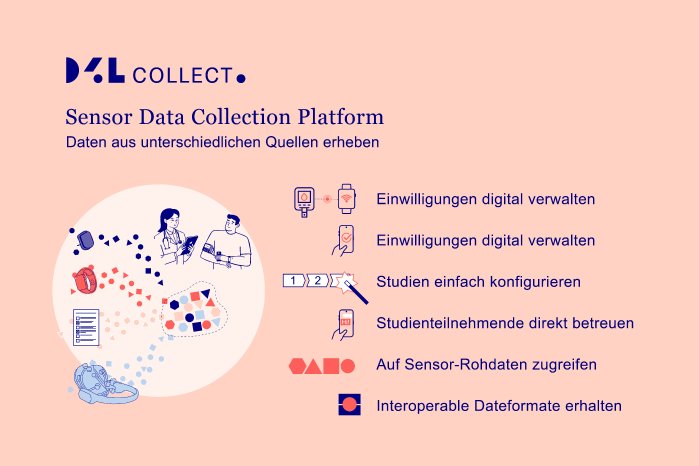 20250625_D4L Collect_Handelsblatt.jpg