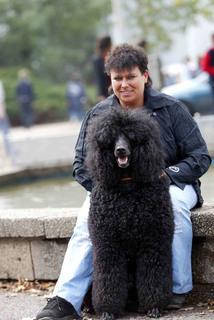 TS Hunde46 (3M)
