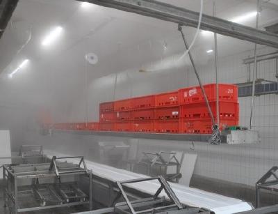 TGL Feuchtraumleuchten widerstehen in der Lebensmittelverarbeitung Dämpfen, Feuchte und Temperaturen von -25° bis +50°C, in der Hochtemperaturausführung TGL HT bis von -40°C bis +65°C