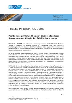 PM-DVS_6-2018_Praxisworkshops.pdf