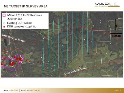 Fig. 1: OreVision IP survey lines covering potential eastern extension of the resource area, as well as additional targets to the NE along and near the Casa Berardi North fault. DDh samples >1 g/t Au projected vertically from hole trace