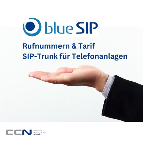 blueSIP_SIP-Trunk_for_UC-PBX_Systems.png