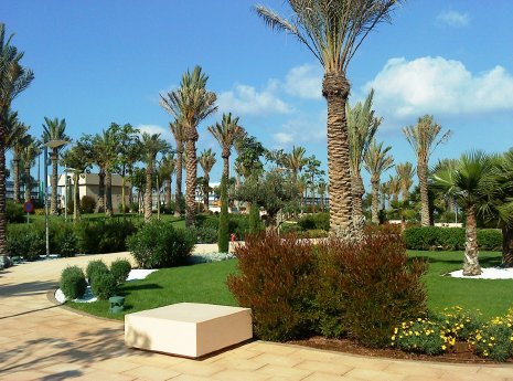 DSC00578.JPG