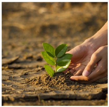 2026-01-19 15_23_17-About – Climinvest.png