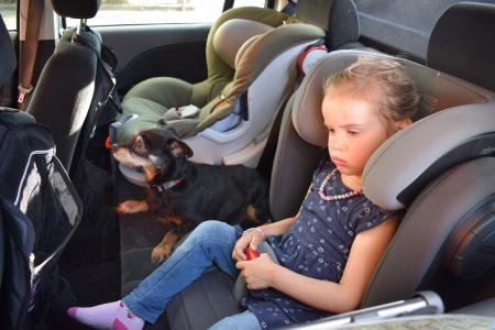Hitze Kinder und Tiere im Auto