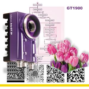 Matrox Iris GT1900 is a 1600 x 1200 Pixel @ 15fps 1/1.8” monochrome CCD