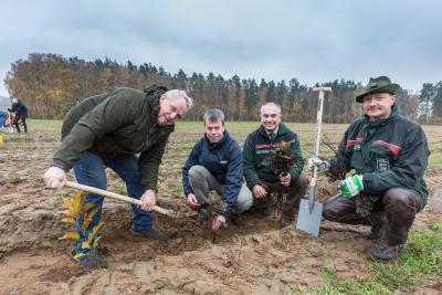 Landwirtschaftsminister Dr. Till Backhaus, WEMAG-Vorstand Caspar Baumgart ,Manfred Baum, Vorstand der Landesforst Mecklenburg-Vorpommern und Forstamtsleiter Bernd Poeppel (v.l.) engagieren sich bei der 9. WEMAG-Baumpflanzaktion gemeinsam für den Klimaschutz / Foto: WEMAG/Stephan Rudolph-Kramer