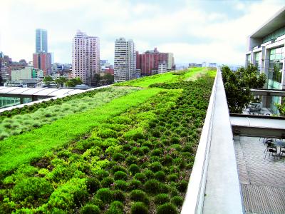 Extensive Green Roof
