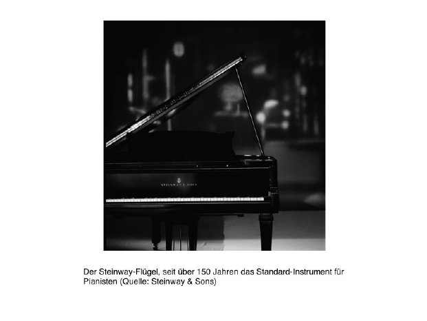 Steinway Piano prev.jpg
