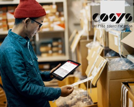 Permanente Inventur mit COSYS Bestandsmanagement.jpg