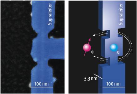Elektronenmikroskopische Aufnahme (links) der experimentellen Realisierung des CQUIDS aus einem NbN-Nanodraht und schematische Darstellung des CQUIDs (rechts) mit der Bewegung des Flußquants (Φ) um eine Ladung (q). Die im linken Bild blau kolorierte Struktur wurde aus einer ultradünnen ALD-Niobnitrid-Schicht des Leibniz-IPHT präpariert. Quelle: NPL/Leibniz-IPHT.