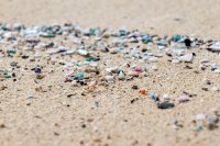 SKZ in Würzburg offers OCS certification to its customers. The aim is to prevent plastic granulate from entering the environment.