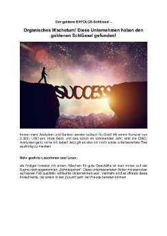 Drei Unternehmen in der Erfolgsspur.pdf