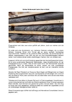 25.02.21 Echter Bullenmarkt beim Uran in Sicht.pdf
