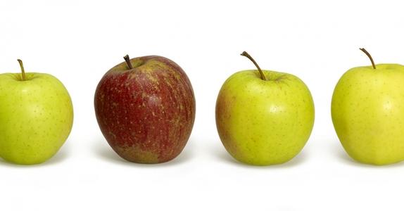 Quality is Everyone's Business - The CAPA Confrontation