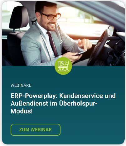 MDIS ERP-Powerplay Aussendienst und Kundenservice.png