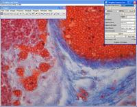 Abbildung: Screenshot mit Bedienoberfläche (GUI) des Treibers