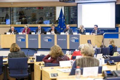 Weiterbildungsexperten beim CULT Ausschuss des Europäischen Parlaments
