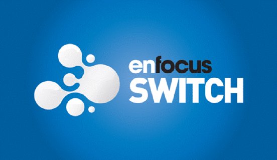 ENF_Switch logo.jpg