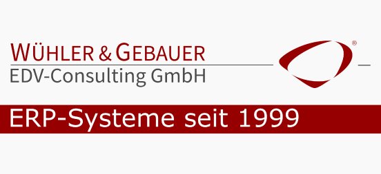 ERP-Systeme_seit_1999.png