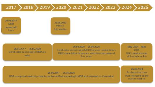 Timeline