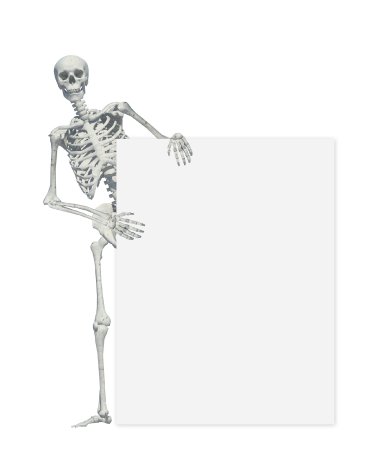 skeleton-standing.jpg