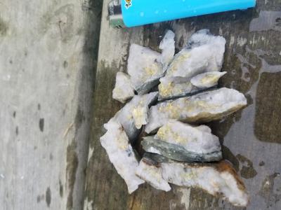 Sichtbares Gold in Quarz, gesammelt auf dem Grundstück Rivard, 27. Juli 2020