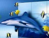 Hyundai It präsentiert 3D Videowall