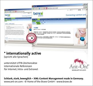 Screenshot: Ant-On! spricht alle Sprachen