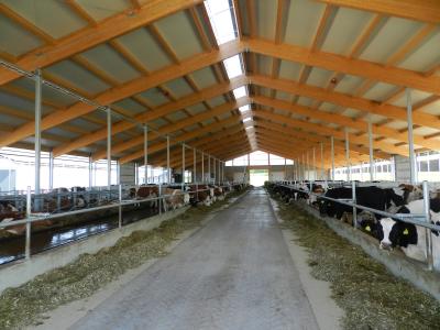Einsatz der High Grade Faser im landwirtschaftlichen Bereich: Milchviehstall
Foto: Fabrino