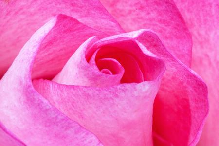 Pink ist beliebt....