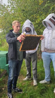 Bienenpflege (c) Albaad Europa.jpg