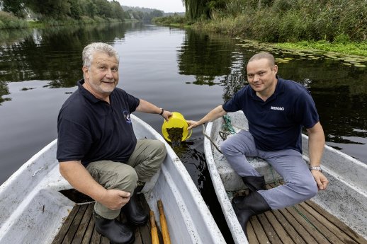 PM_WE25_25_Aalbesatz LAV + WEMAG in Schwaan_Foto 3 WEMAG Stephan Rudolph-Kramer_IMG_7596.jpg
