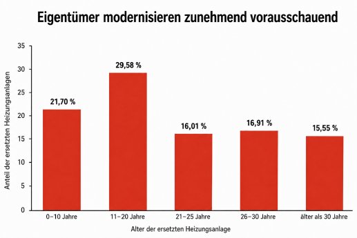 Statistik Heizungstausch Alter.png