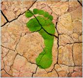 Der CO2-Fußabdruck von Produkten wird immer wichtiger. Um Greenwashing-Vorwürfen entgegen zu wirken, ist eine fundierte Berechnung nach den relevanten Standards ISO 14040/44 und ISO 14067 erforderlich