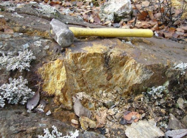 Maple Gold Mines goldhaltiges Gestein.jpg