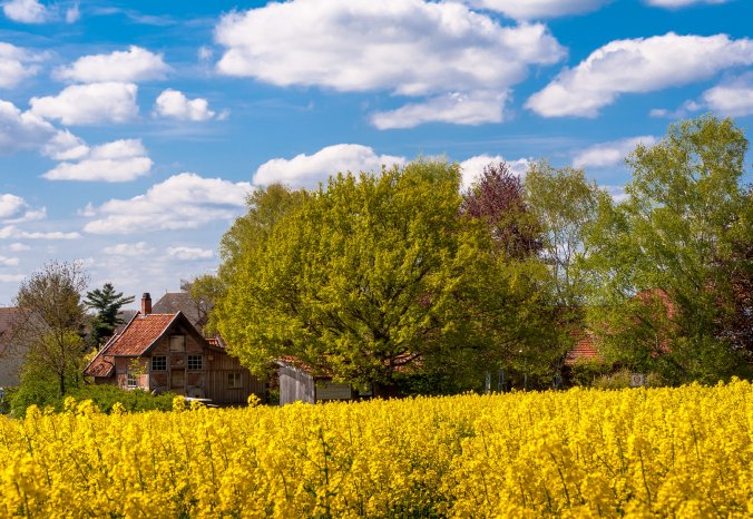 Barsinghausen_Backhaus Barrigsen © Andre Hoffmann.jpg