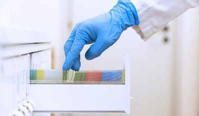 Laemme_Histology-meat-based-products
