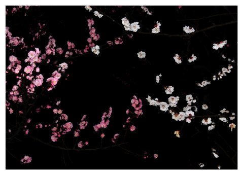 Weidner_Sascha_HANAMI_DOTS_II.jpg