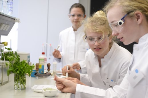 Mädchen 02 (C) Kompetenzzentrum Technik-Diversity-Chancengleichheit.jpg