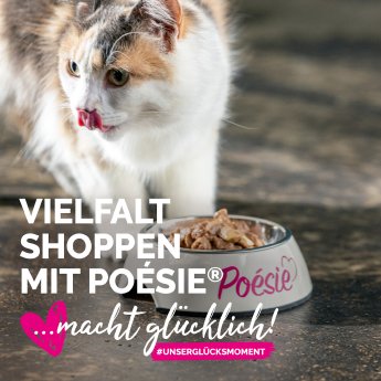 Social_Media_Ads_Newsfeed_Katze.jpg