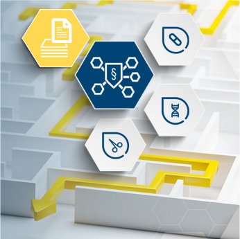 PM_Expertenpapiere_MDR KARL.png