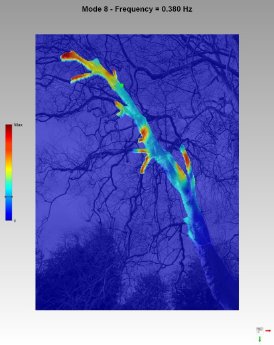 Limb bending at 0,38Hz.jpg