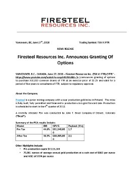 27062018_EN_FTR_Granting options 27.06.pdf